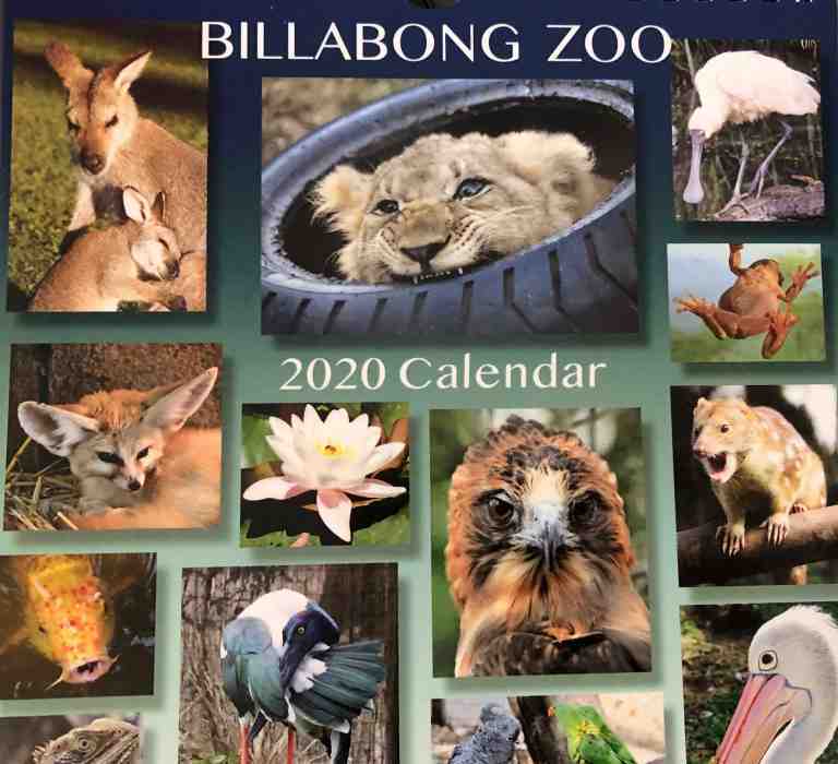 Limited Edition Billabong Zoo Calendar 2020 Billabong Zoo Port